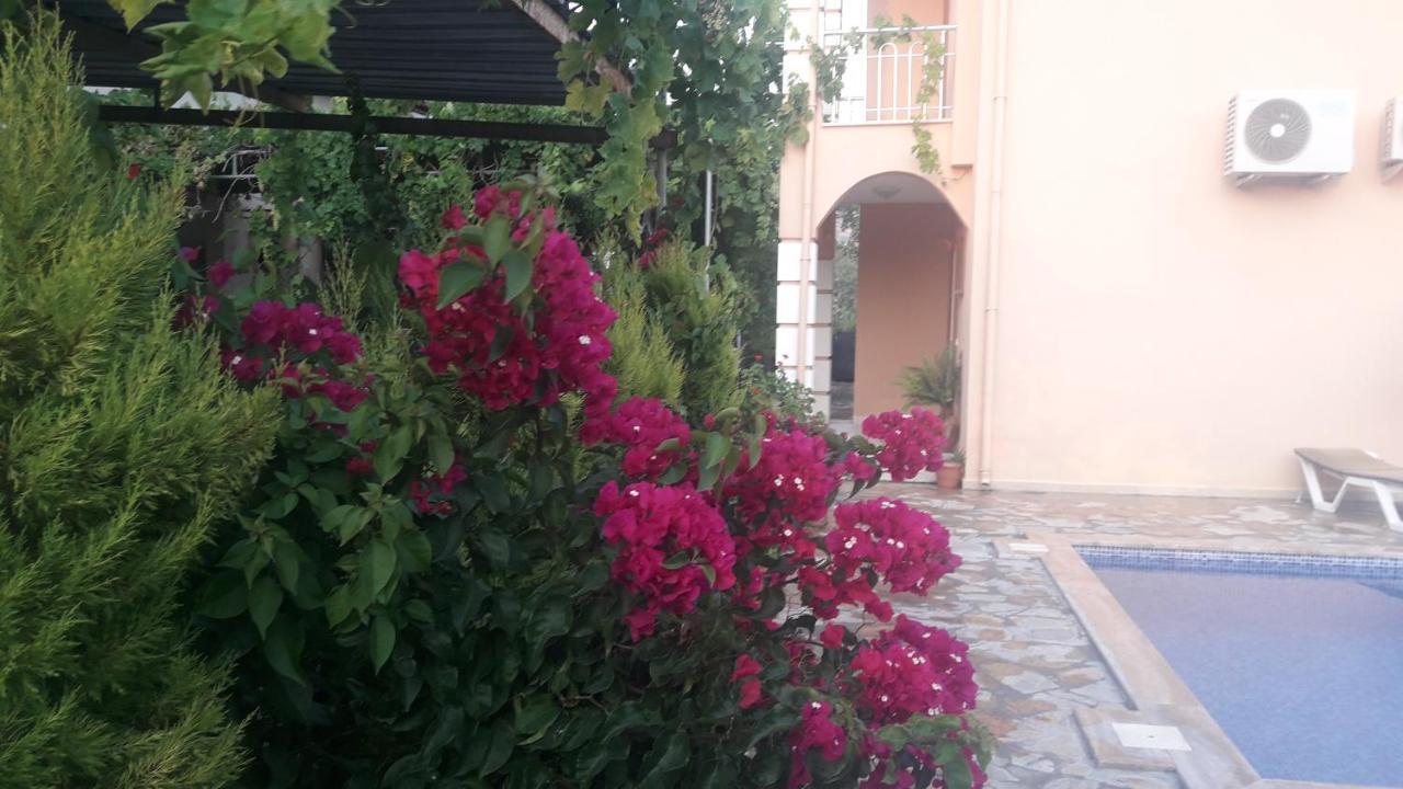 Villa Ebrar Dalyan 무글라 외부 사진
