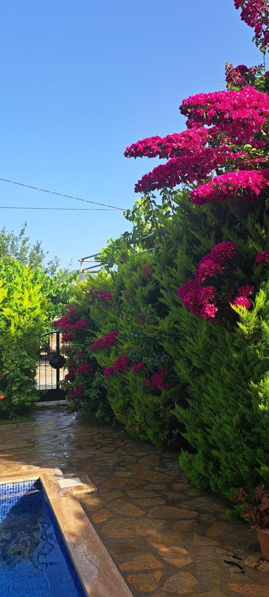 Villa Ebrar Dalyan 무글라 외부 사진